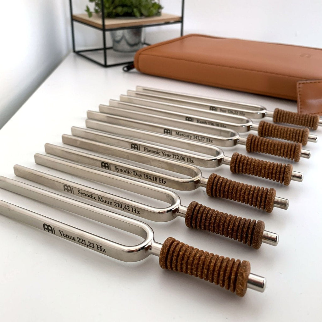 7 Chakra Healing Tuning Fork Set with Travel Case