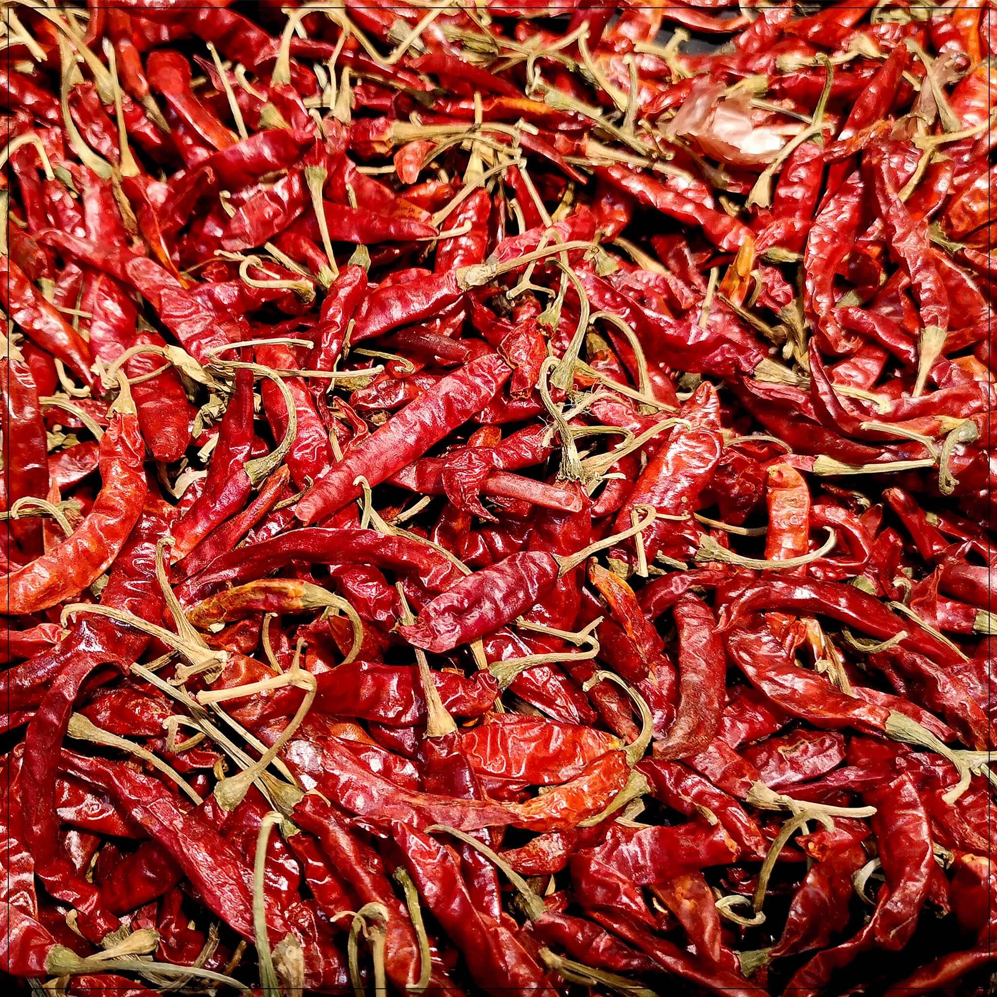 Thai Red Chili